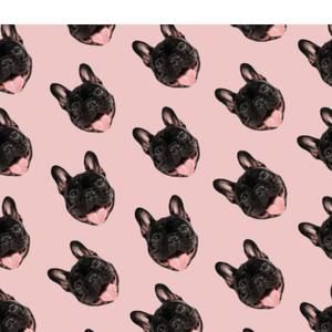 Meet your Posher, Ella